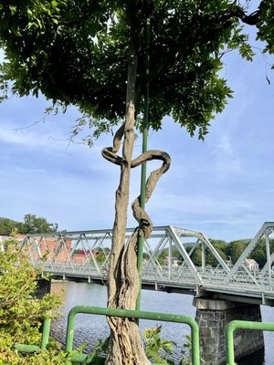 Bridge of Flowers by null