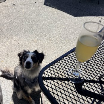 Mia Cafe and Wine Bar - Wine Bars Near Me - Kirkland, Washington
