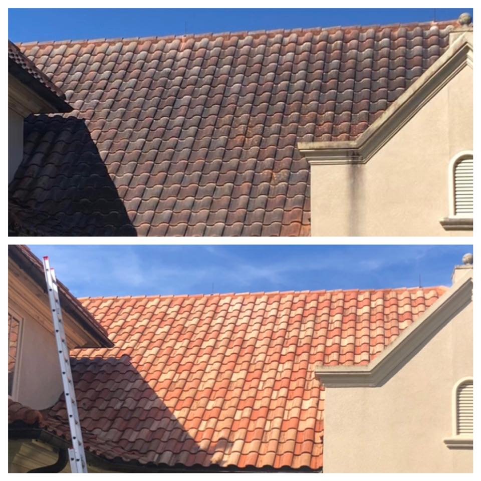 Slide of ShellBack SoftWash