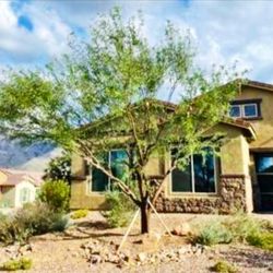 Az landscaping