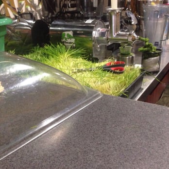 Juices For Life - Fresh wheat grass! - Juice Bars & Smoothies Near Me - Bronx, New York Juices For Life - Fresh wheat grass! - Juice Bars & Smoothies Near Me - Bronx, New York