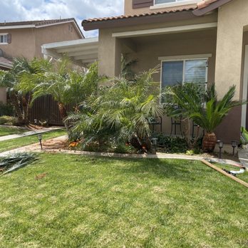 Eder Tree Service and Lawn Maintenance - Tree Services Near Me - Riverside, California Eder Tree Service and Lawn Maintenance - Tree Services Near Me - Riverside, California