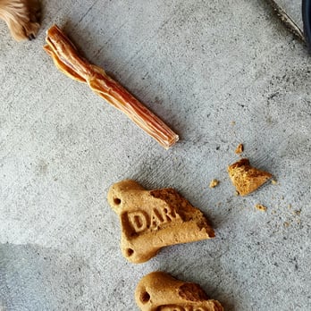 Andersen's Pet Shop - Free bully stick for checking in - Pet Stores Near Me - Montrose, California Andersen's Pet Shop - Free bully stick for checking in - Pet Stores Near Me - Montrose, California