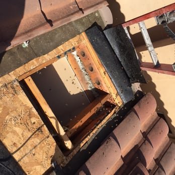 AA-Beekeeper - Pest Control Near Me AA-Beekeeper - Pest Control Near Me