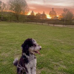 Nicklaus Paw Park