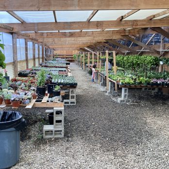 Succulents Maryo - The inside of the shop. - Nurseries & Gardening Near Me - Vista, California