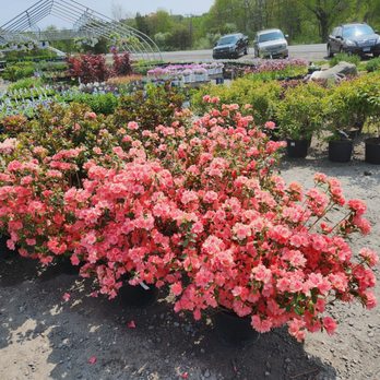 Gresczyk Farms - Nurseries & Gardening Near Me - New Hartford, Connecticut