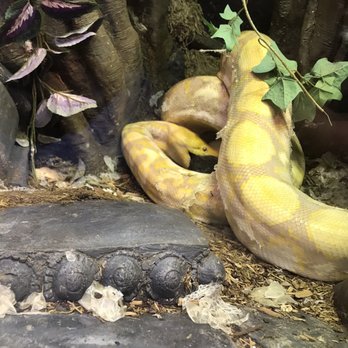 East Bay Vivarium - Reptile Shops Near Me - Berkeley, California