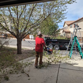 Goldstar Tree & Stump Grinding - a man in a red jacket standing on a sidewalk - Tree Services Near Me