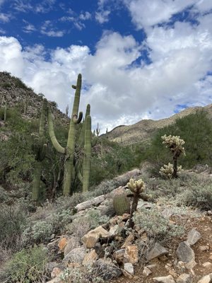Gateway Trailhead - McDowell Sonoran Preserve by null