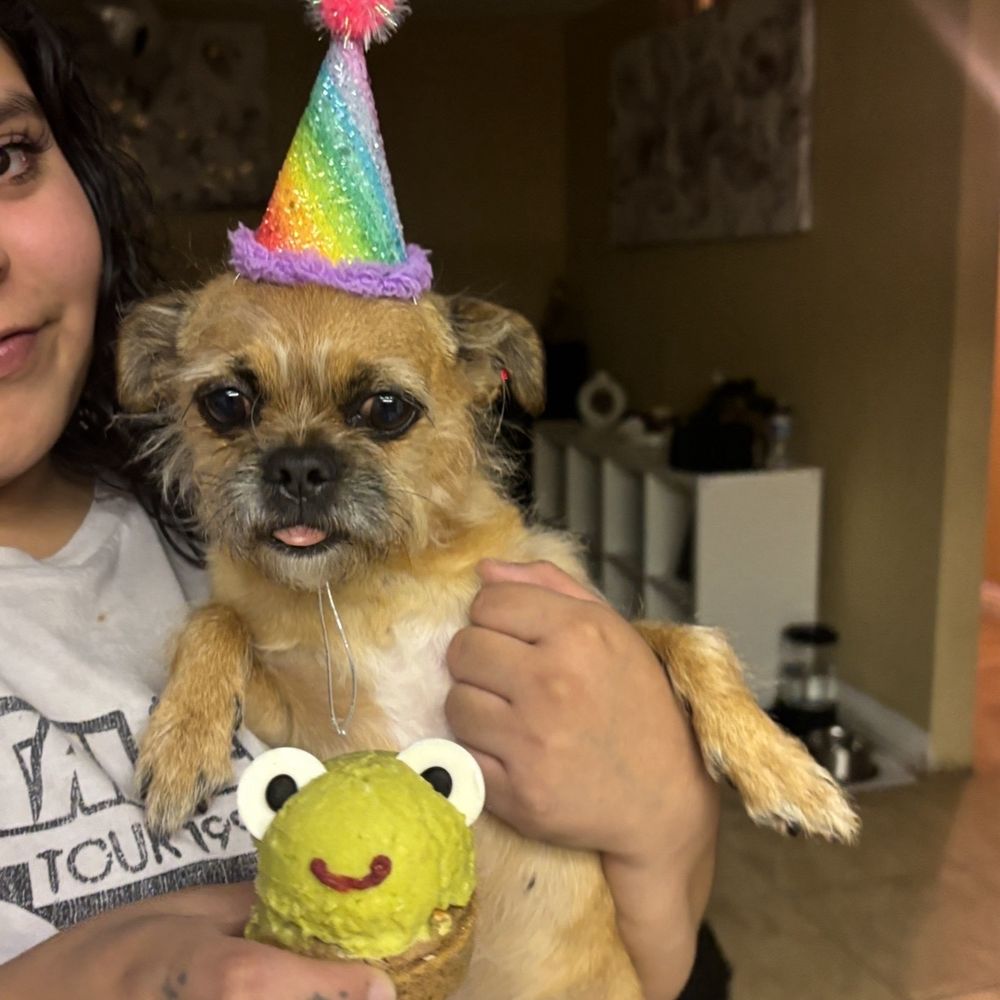 Frog cupcake Frog cupcake