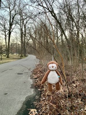 Overton Park by null