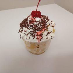 Exit 8 ice Cream - Maine black bear ice cream pineapple sundae
