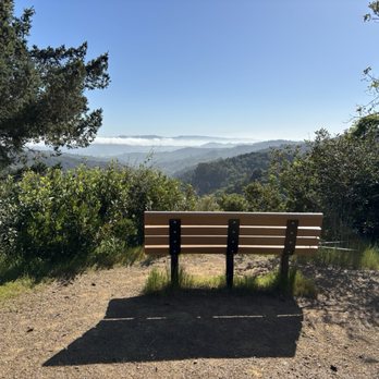 Uvas Canyon County Park - Beautiful view, comfortable bench, & even cell reception to share this view with your friends still stuck at work. - Parks Near Me - Morgan Hill, California