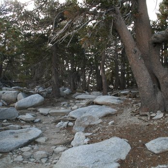 Mount San Jacinto State Park - Parks Near Me - Idyllwild, California
