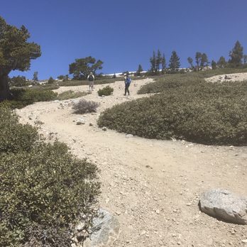 Mount Baldy - In case you were wondering how steep Ski Hut Trail is, hope this gives you some perspective. But once you hit this, you're almost there! - Hiking Near Me - Mt Baldy, California Mount Baldy - In case you were wondering how steep Ski Hut Trail is, hope this gives you some perspective. But once you hit this, you're almost there! - Hiking Near Me - Mt Baldy, California