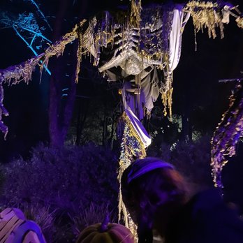 Six Flags Discovery Kingdom - The scariest thing there - Amusement Parks Near Me - Vallejo, California Six Flags Discovery Kingdom - The scariest thing there - Amusement Parks Near Me - Vallejo, California