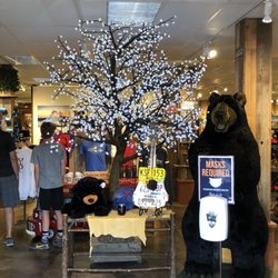 Firehole Trading Company - Nice tree