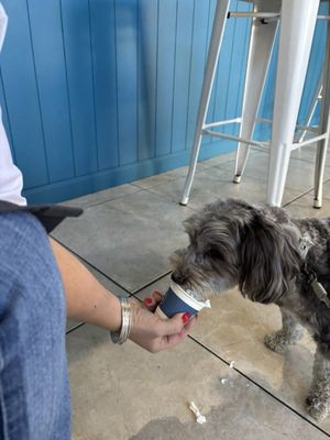 No Limits Coffee Shop by null