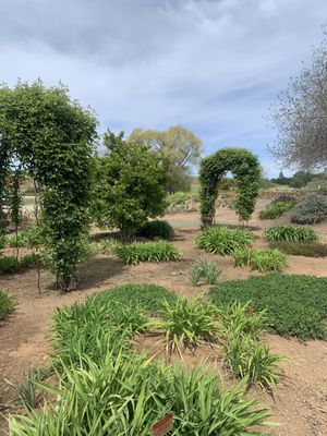 Amador Flower Farm by null
