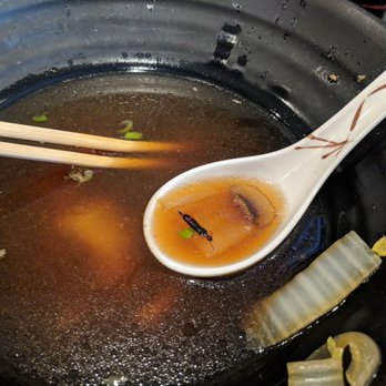 Wasabi Bistro - Japanese Near Me - Livermore, California