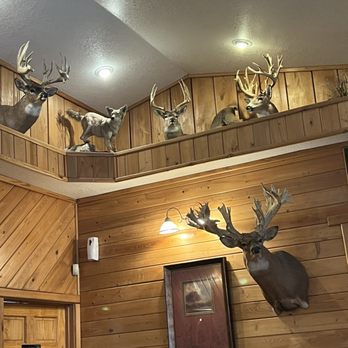 Big Wood BBQ and Grill - Dining Area - Barbeque Near Me - Live Oak, Florida Big Wood BBQ and Grill - Dining Area - Barbeque Near Me - Live Oak, Florida