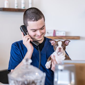 Your Pets Vets - Veterinarians Near Me - Pembroke Pines, Florida Your Pets Vets - Veterinarians Near Me - Pembroke Pines, Florida