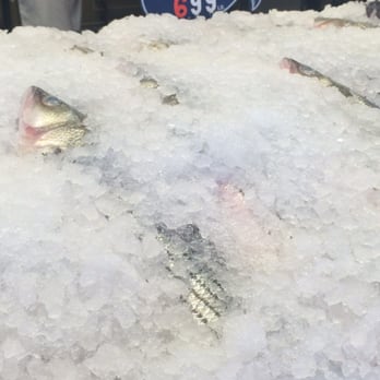 Sal and Sons - Seafood Near Me - Baltimore, Maryland