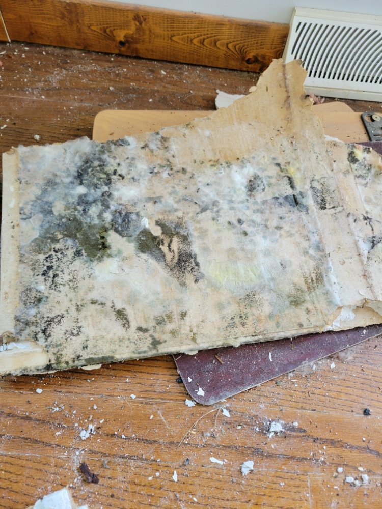 Slide of Sass & Sons Handyman Services