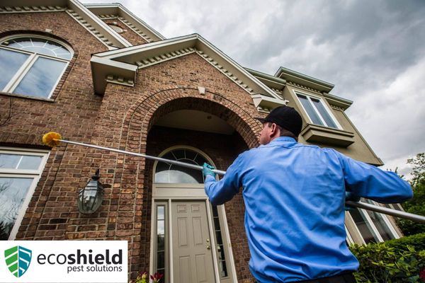 Pest Control Edison Nj