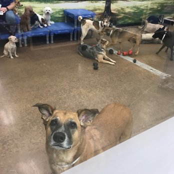 PetSmart - Pet Stores Near Me - Tempe, Arizona