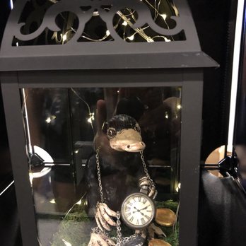Florida Supercon - The niffler from Fantastic Beasts and Where to Find Them. - Festivals Near Me - Fort Lauderdale, Florida Florida Supercon - The niffler from Fantastic Beasts and Where to Find Them. - Festivals Near Me - Fort Lauderdale, Florida