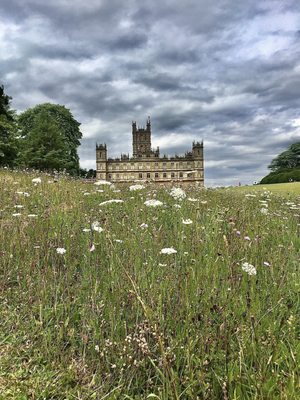 Highclere Castle by null