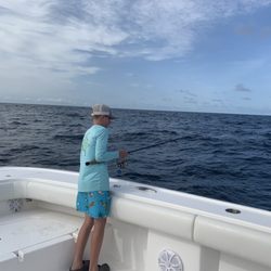 Stray Cat Charter