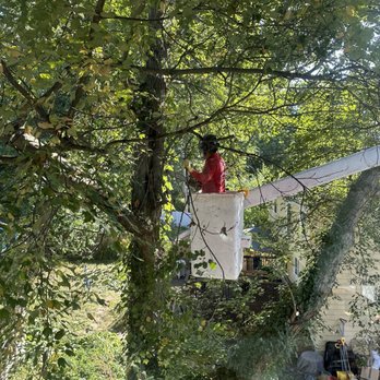 Lopez Landscaping & Tree Service - Man on Lift (Fabio) - Tree Services Near Me - Lynn, Massachusetts