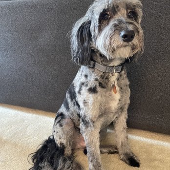 Pet Evolution - Pet Stores Near Me - Frisco, Texas Pet Evolution - Pet Stores Near Me - Frisco, Texas
