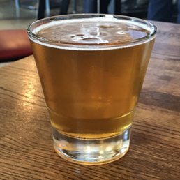 Pliny the Elder Pliny the Elder