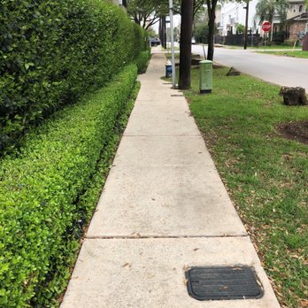 Tidal Wave Pressure & Soft Wash Solutions - North sidewalk after. - Pressure Washers Near Me Tidal Wave Pressure & Soft Wash Solutions - North sidewalk after. - Pressure Washers Near Me