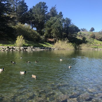 John McLaren Park - Ducks!!!! - Parks Near Me - San Francisco, California John McLaren Park - Ducks!!!! - Parks Near Me - San Francisco, California