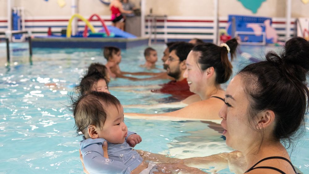 AVAC Swim School Logo