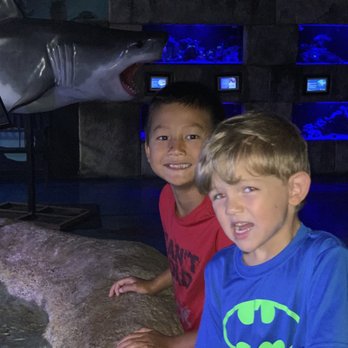 Austin Aquarium - Aquariums Near Me - Austin, Texas