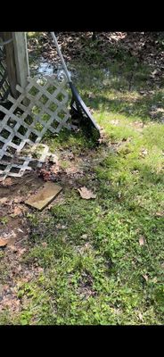 Blue Ribbon Pools & Spas