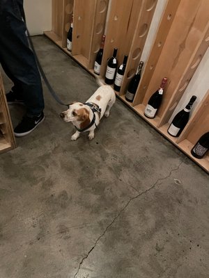 Silverlake Wine by null