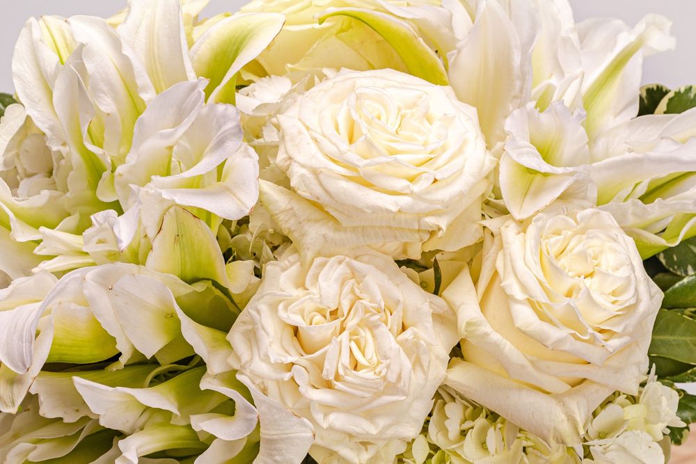 PAUL WOOD FLORIST Updated July 2024 144 Photos & 25 Reviews 114 N