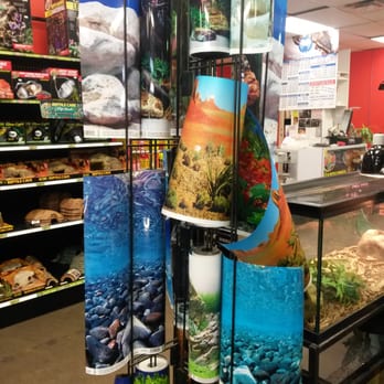 All Reptiles - Pet Stores Near Me - Toronto, Ontario