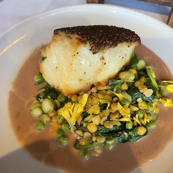 Harvest Tide Steakhouse Restaurant - Sea bass -- AMAZING - Steakhouses Near Me - Lewes, Delaware Harvest Tide Steakhouse Restaurant - Sea bass -- AMAZING - Steakhouses Near Me - Lewes, Delaware