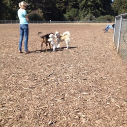 Lots of friendly dogs and people! Great dog park