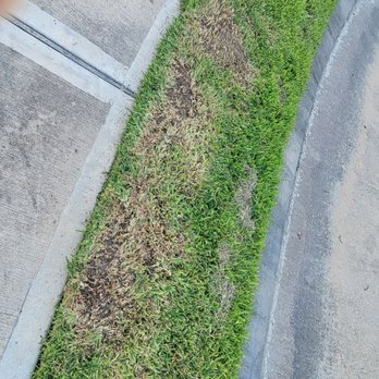 Silversand Services - Silversand employee grass cutting results on our private property - Landscaping Near Me - Houston, Texas Silversand Services - Silversand employee grass cutting results on our private property - Landscaping Near Me - Houston, Texas