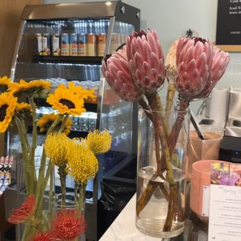 PlantShed - Florists Near Me - New York, New York PlantShed - Florists Near Me - New York, New York