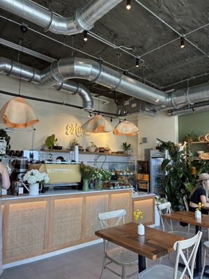 Magdalena Coffee & Houseplants by null